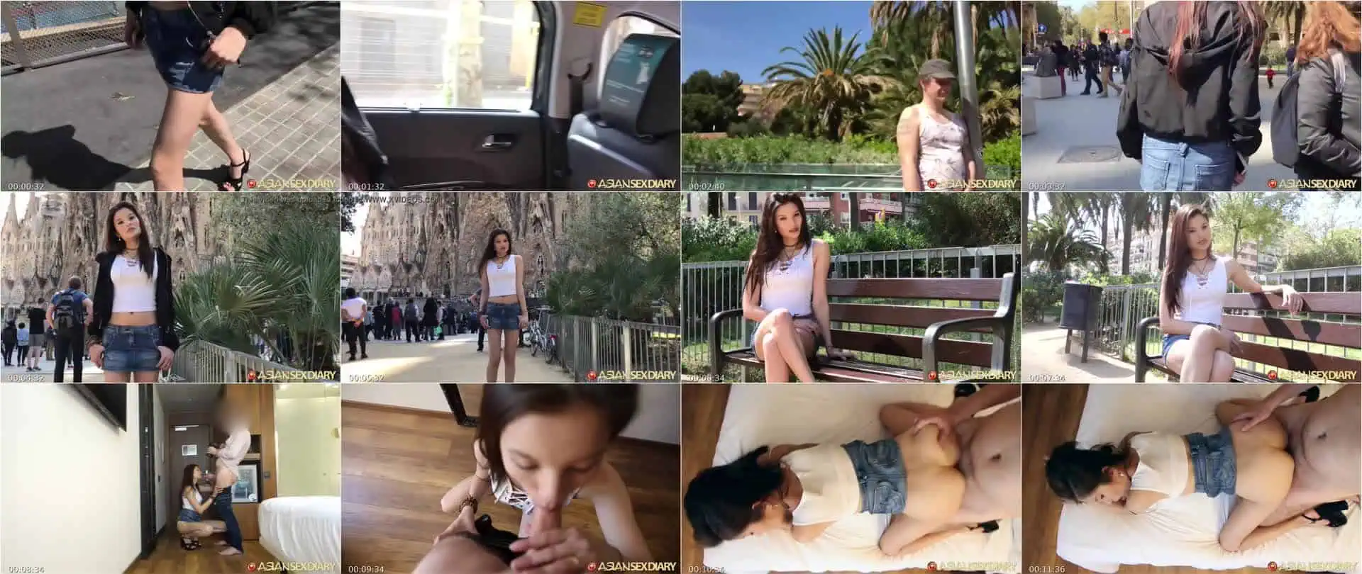 Asiansexdiary Asian Tourist Fucks Big Dick American