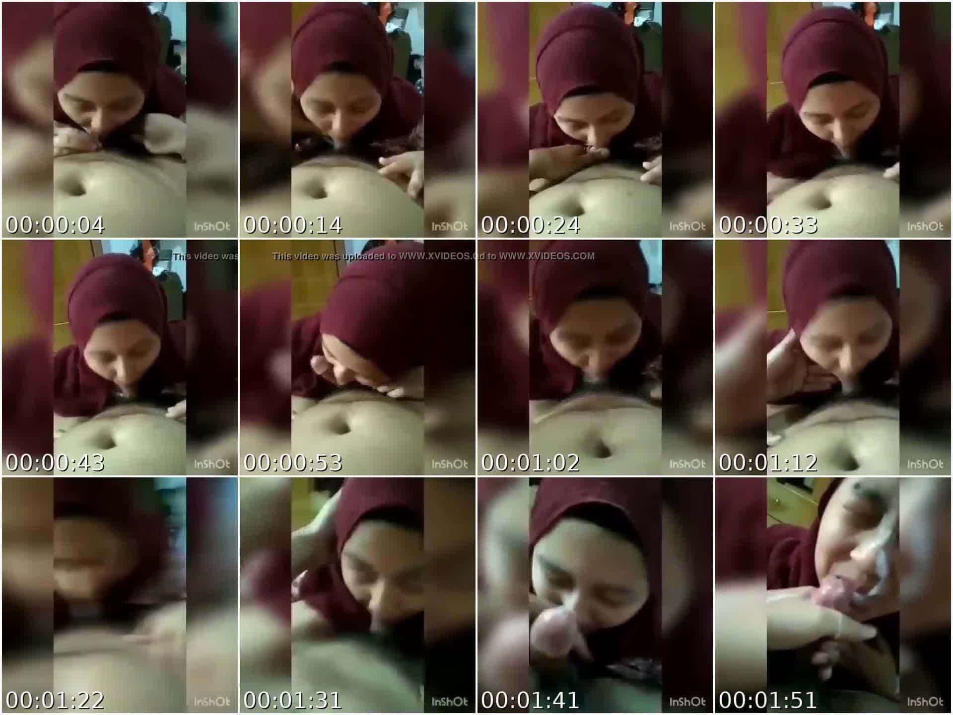 Isap Kontol Indo